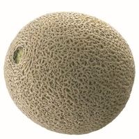 Honduras Rock Melon