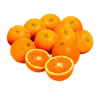 Egypt Navel Oranges