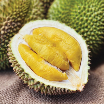 Premium Durian Buffet (EARLY BIRD)