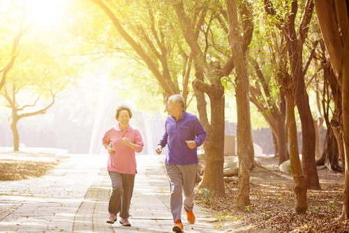 senior citizen recreation benefits singapore